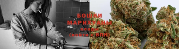 крисы Тында