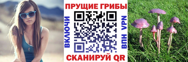 Галлюциногенные грибы ЛСД  Купить закладки  Озёрск 